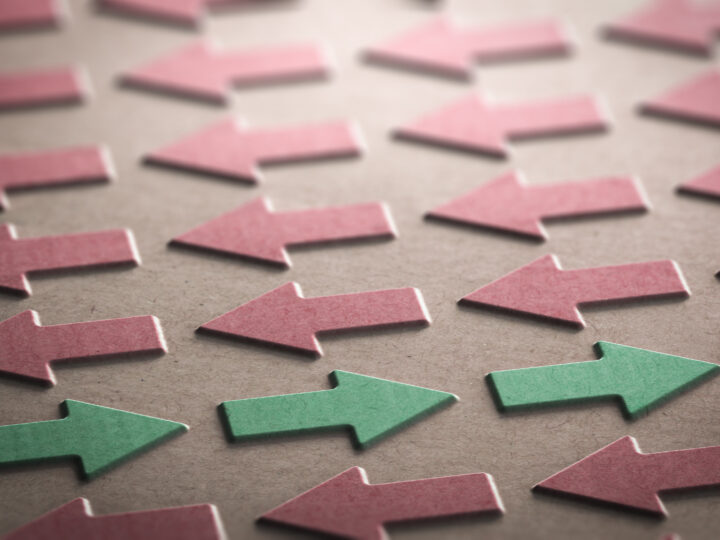 Windsor Framework problems ‘not being tackled properly’