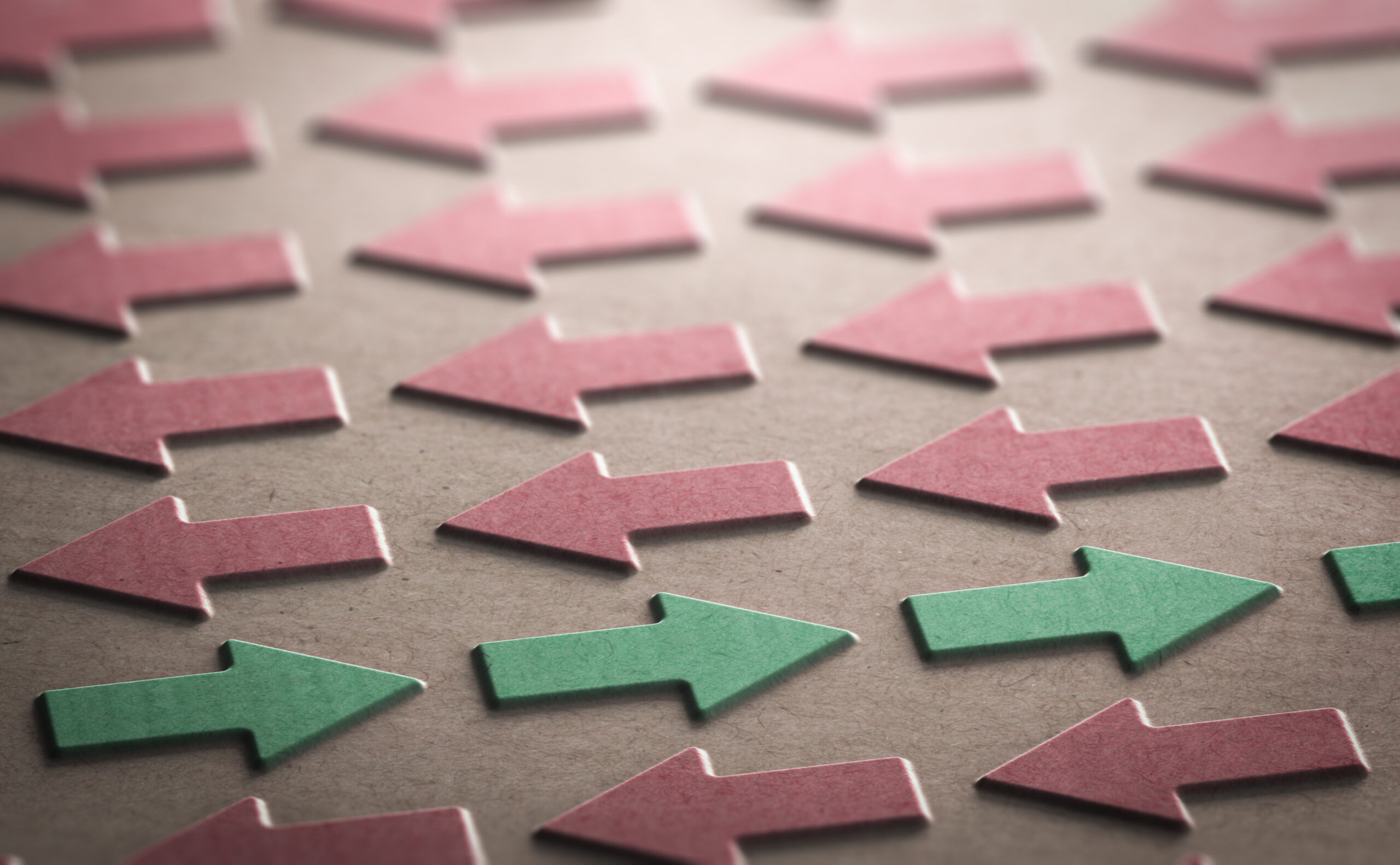 Windsor Framework problems ‘not being tackled properly’