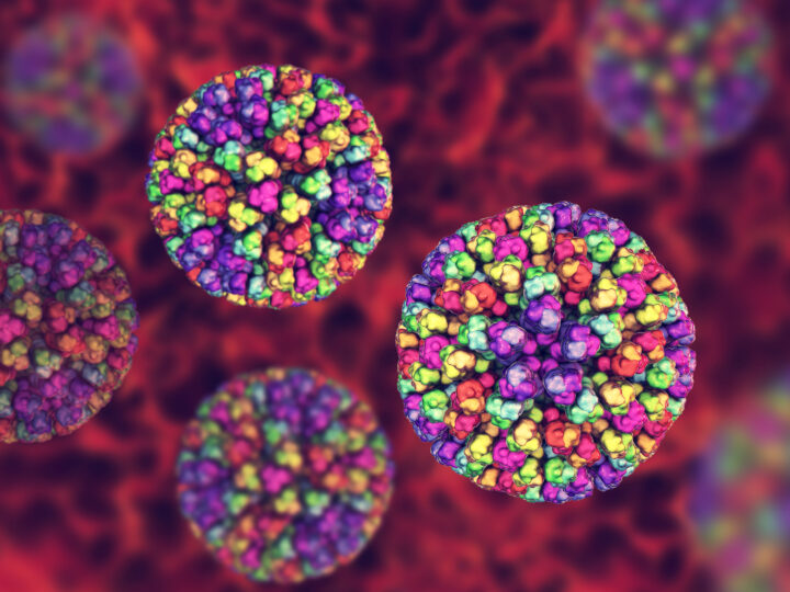 UFU issues update on Bluetongue and new livestock restrictions