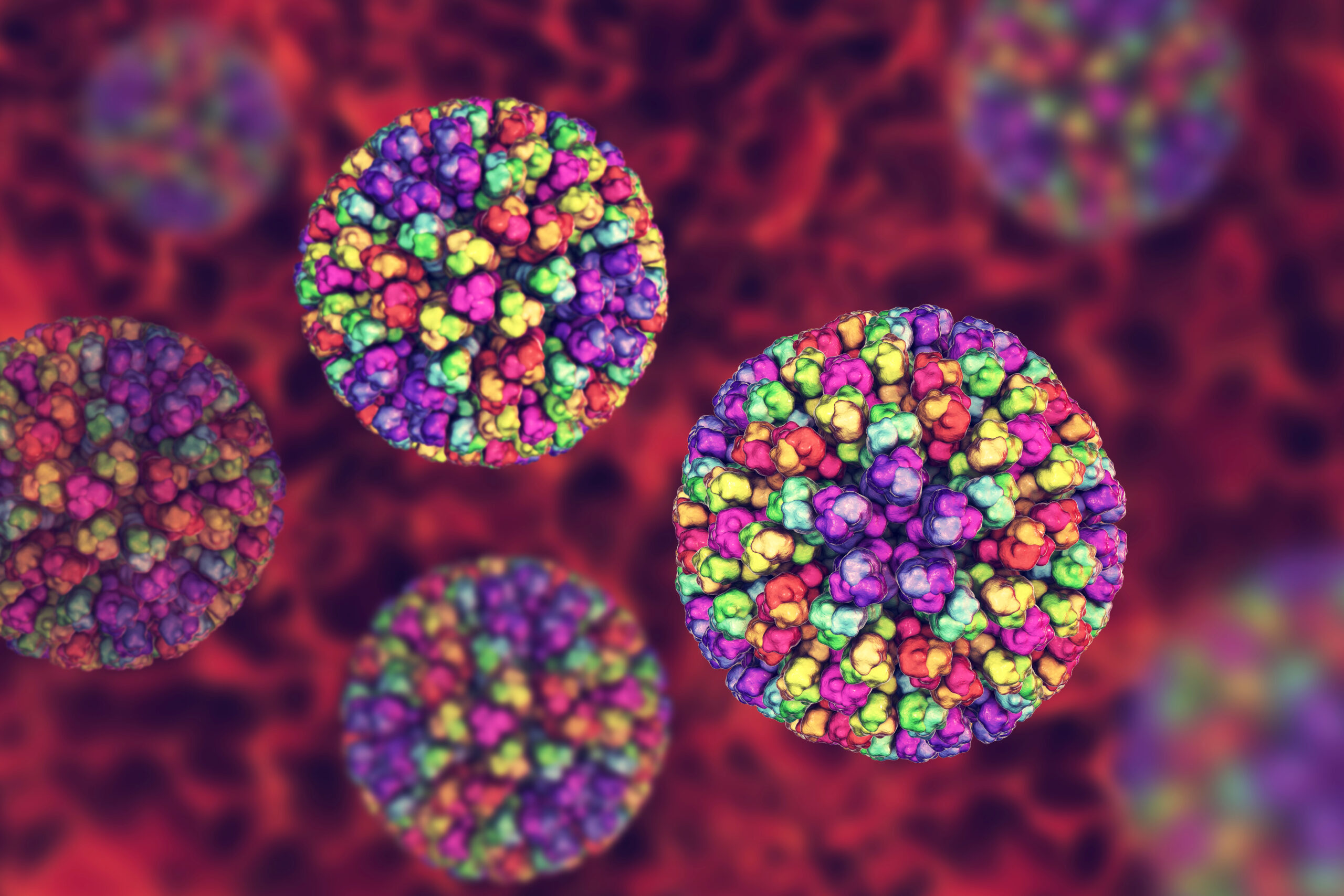 UFU issues update on Bluetongue and new livestock restrictions